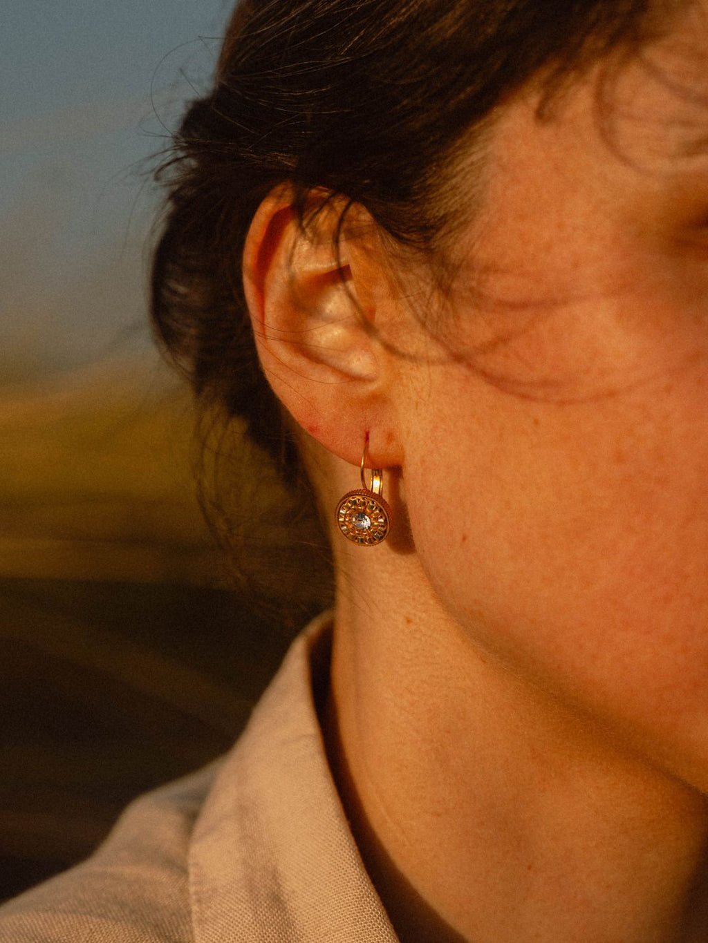 Boucles d'Oreilles Dormeuses | Acier Inoxydable 316L & Cristal Swarovski